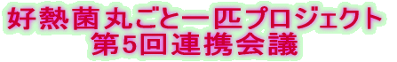 DMۊۂƈCvWFNg 5Agc