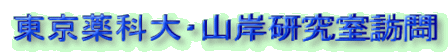 ȑER݌K